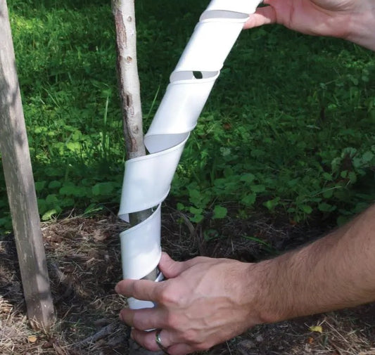 Plastic Tree Guards