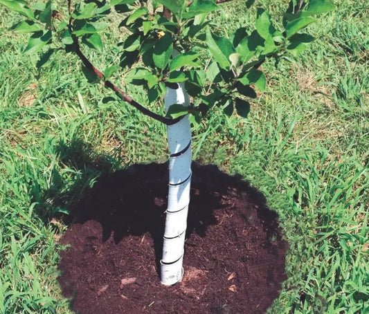 Plastic Tree Guards